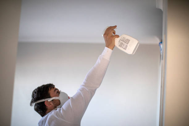 Best Commercial Mold Removal  in Sun City, AZ