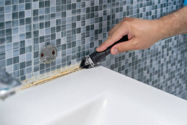 Best Office Mold Removal Services  in Sun City, AZ